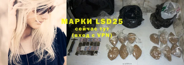 стаф Гусев