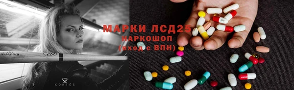 стаф Гусев