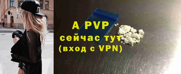 стаф Гусев