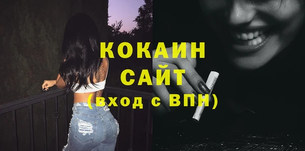 стаф Гусев