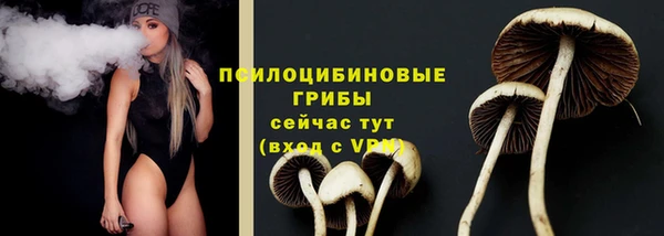 гашик Гусиноозёрск