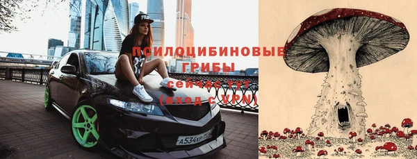 первитин Гусь-Хрустальный