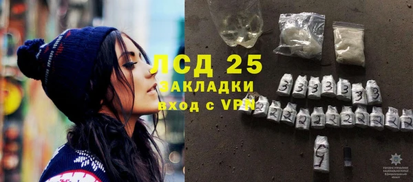 стаф Гусев