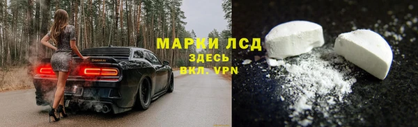 стаф Гусев